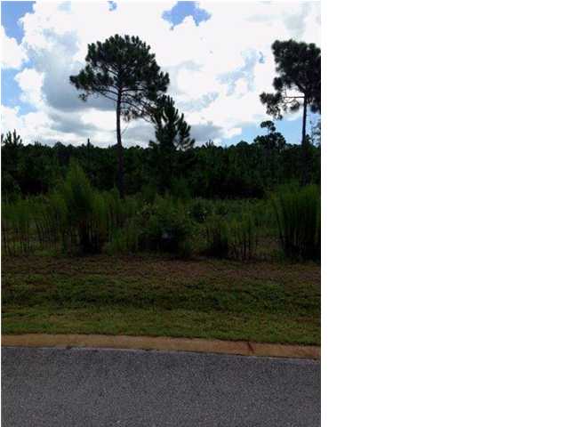 39 Shallow Reed Drive Port St. Joe, FL 32456 - Photo 1 of 1 Gallery Image 1