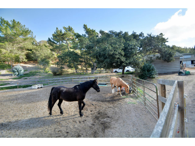 25200 Hidden Mesa Road Monterey, CA 93940 - Photo 24 of 25 Gallery Image 24