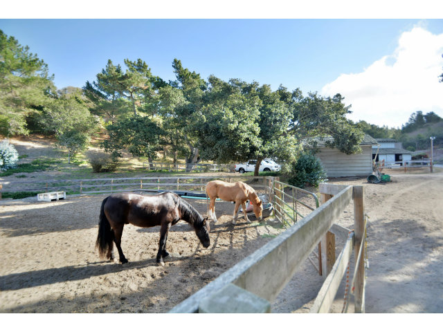 25200 Hidden Mesa Road Monterey, CA 93940 - Photo 25 of 25 Gallery Image 25