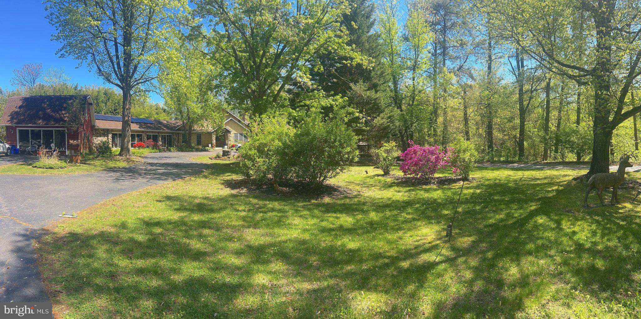 309 Creek Road Moorestown, NJ 08057 - Photo 32 of 47 Serene retreat amidst lush greenery.
