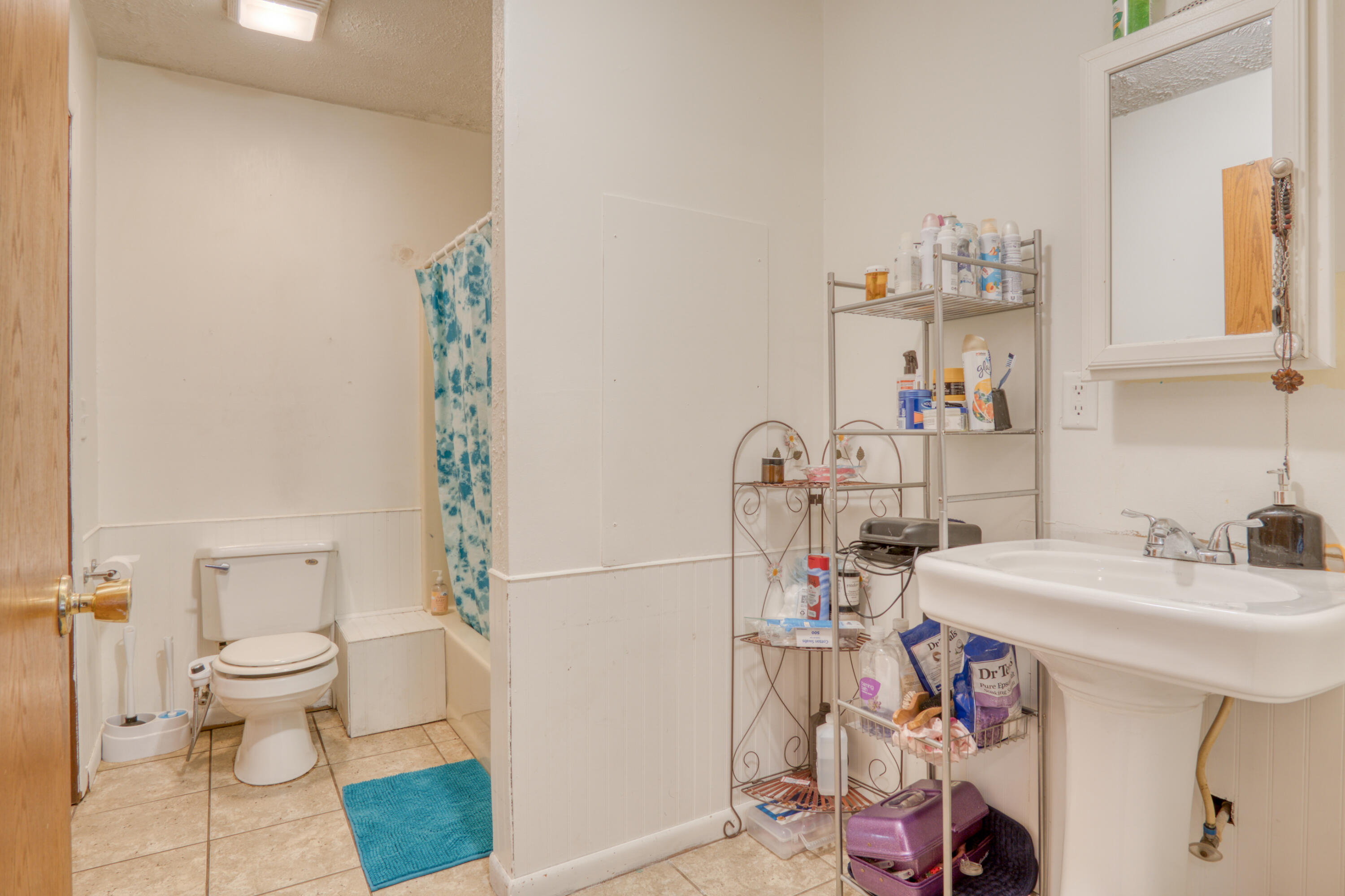 7364 South James Road Baldwin, MI 49304 - Photo 14 of 25 DSC01519_9