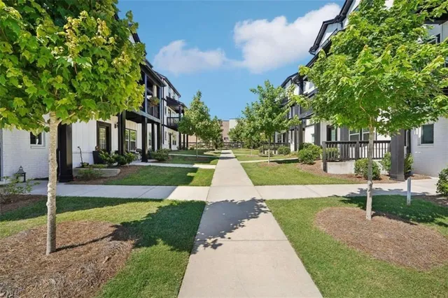 a view of a park with large trees