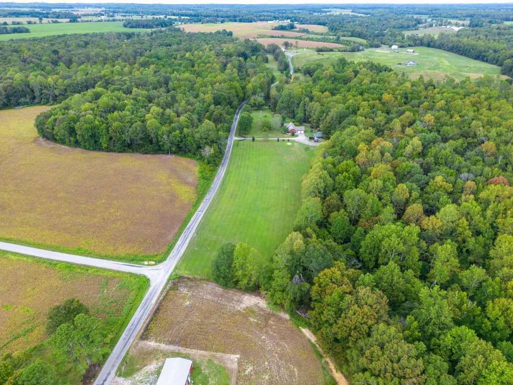 3597 McMahan Road Morrison, TN 37357 - Photo 36 of 45 a view of a green yard with large trees