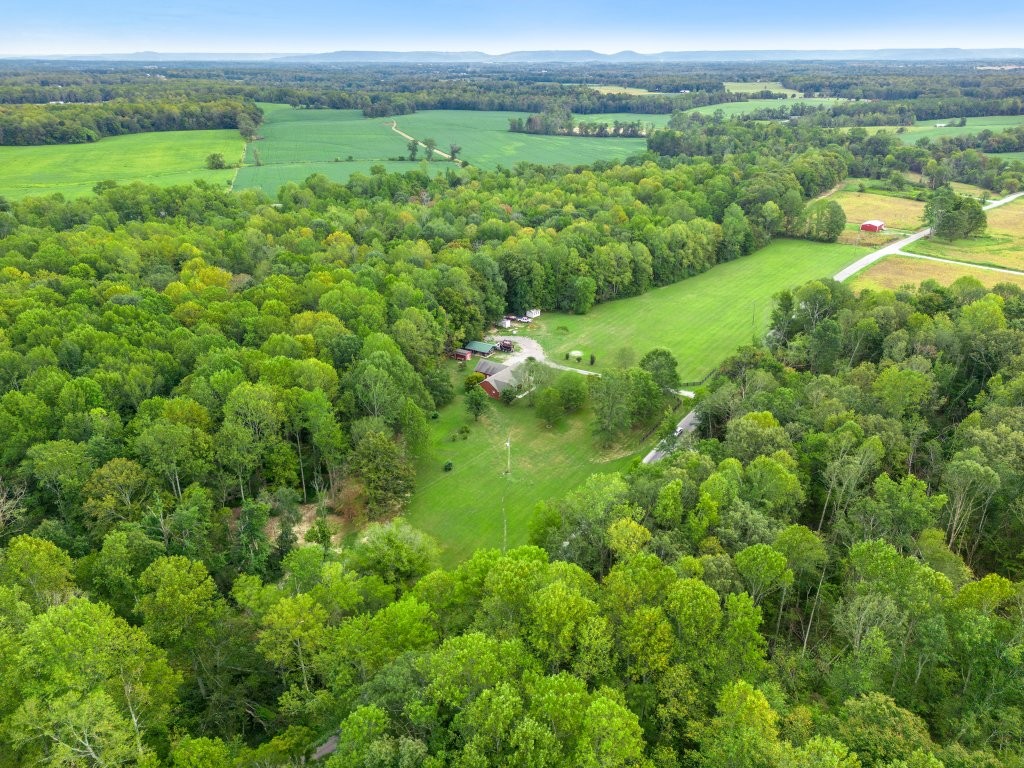 3597 McMahan Road Morrison, TN 37357 - Photo 43 of 45 a view of a lush green outdoor space with a lake view