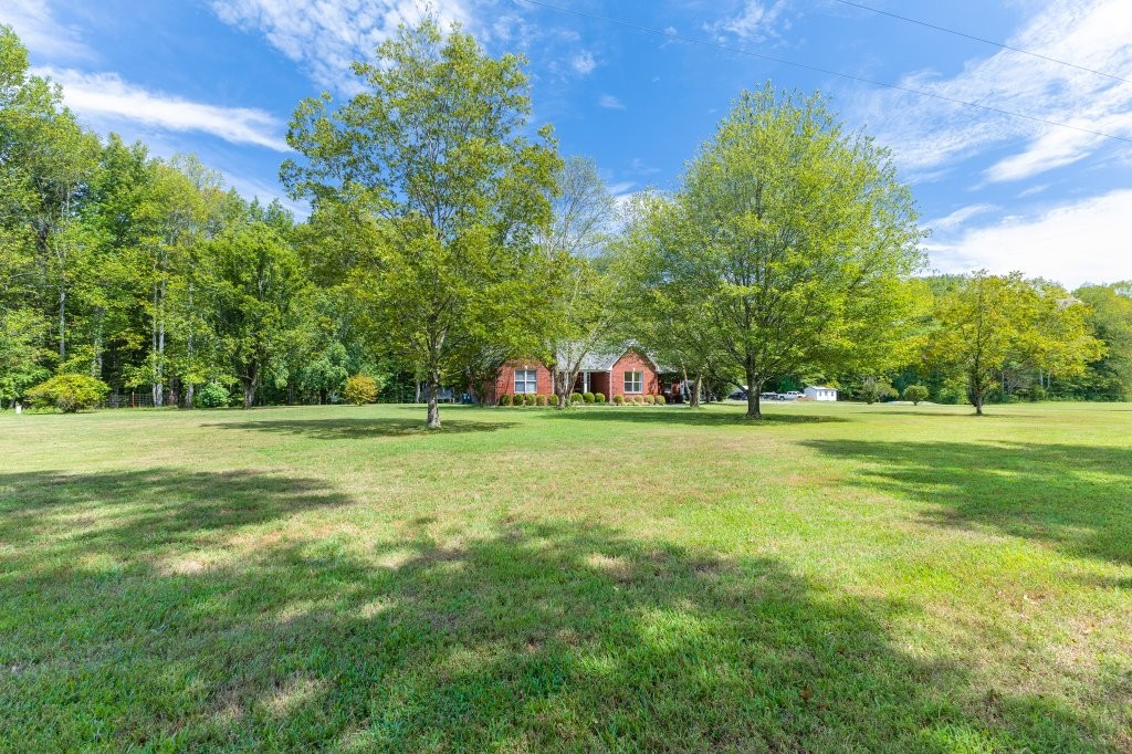 3597 McMahan Road Morrison, TN 37357 - Photo 7 of 45 a view of a field with grass and trees