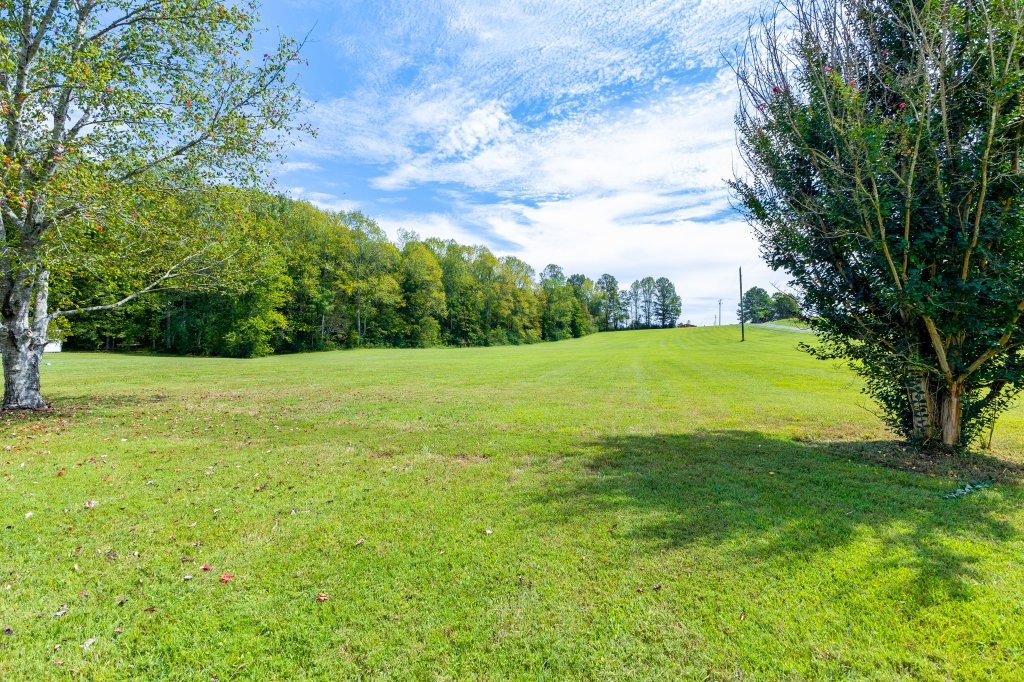 3597 McMahan Road Morrison, TN 37357 - Photo 9 of 45 a view of a grassy field with trees in the background
