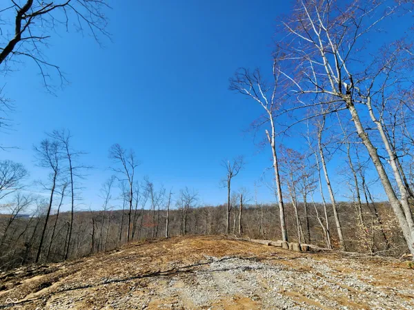$215,000 | Lot 2 Goat Hollow Estates Road, Martinsville, IN 46151
