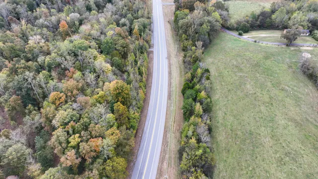 a view of a plant with a plant