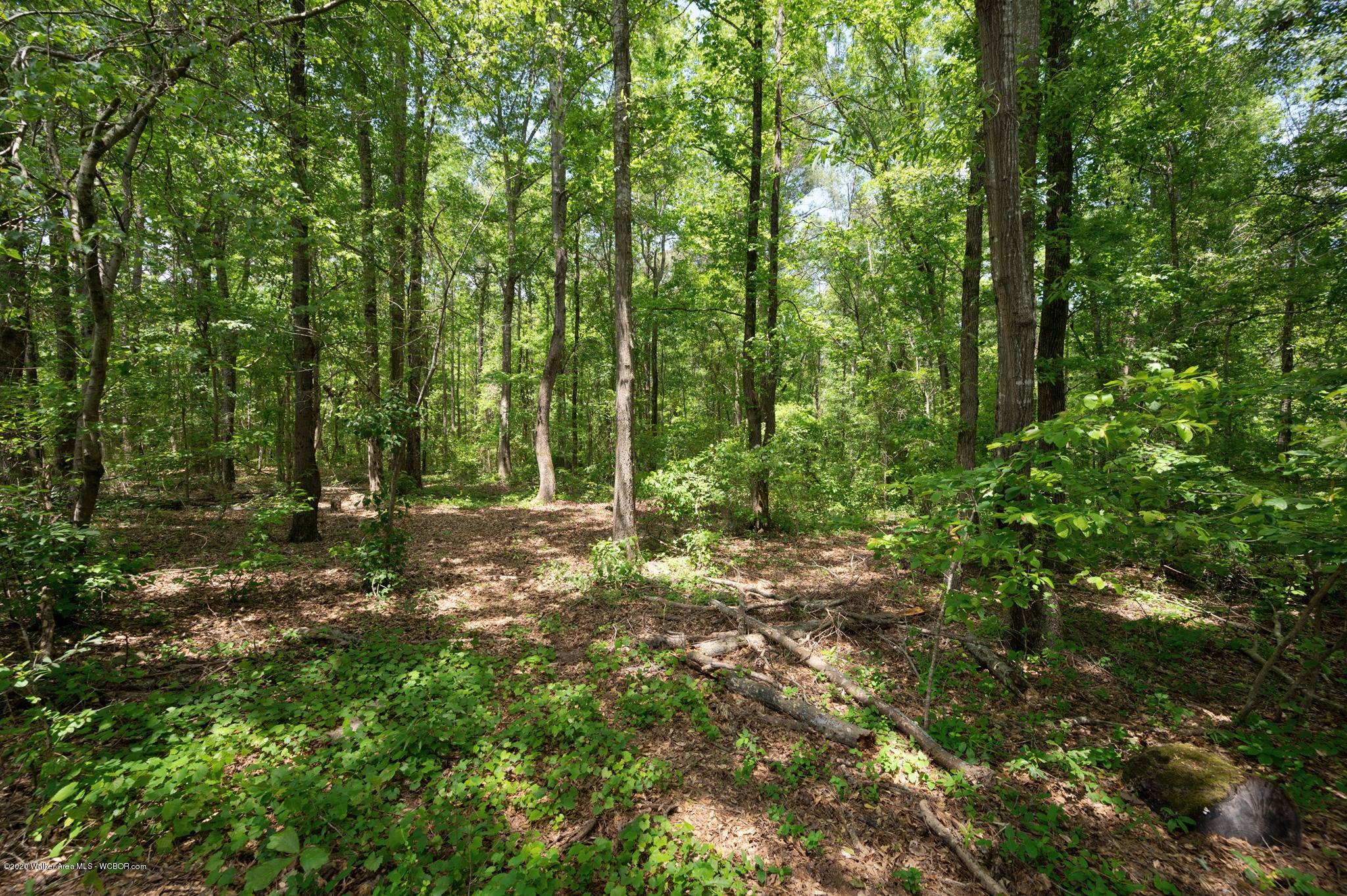 2635 Burrows Crossing Road Jasper, AL 35504 - Photo 31 of 32 Gallery Image 31