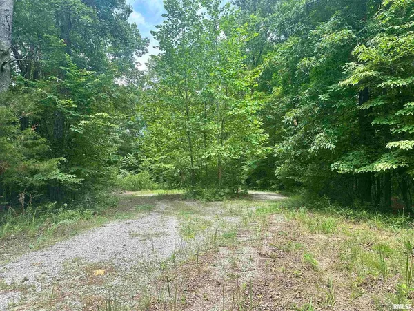 $28,000 | 0 Knob Creek Road, Carbondale, IL 62903