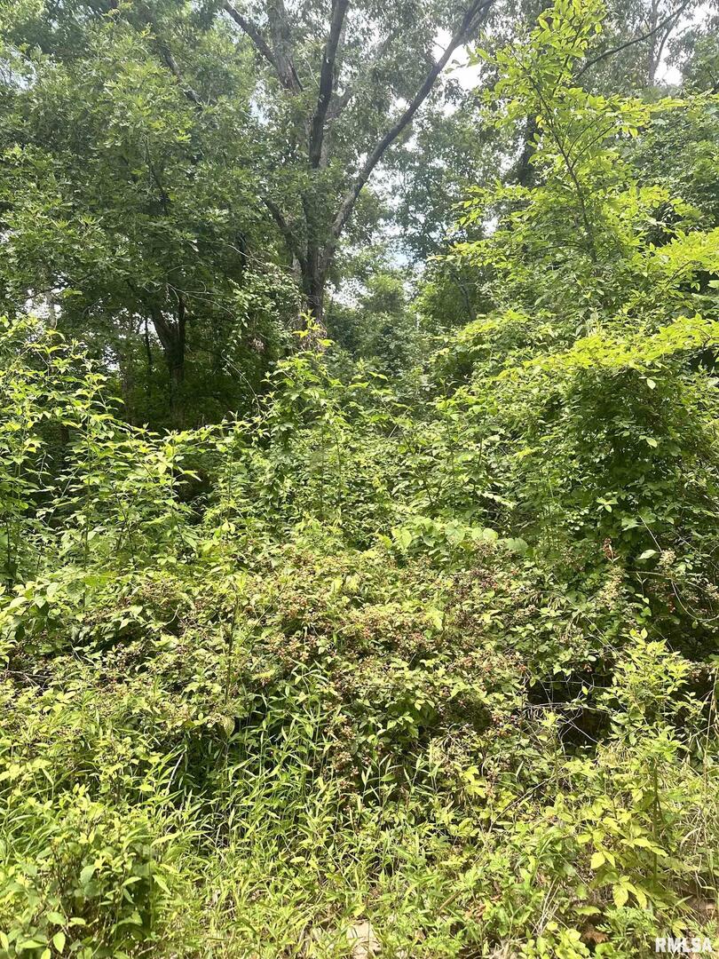 0 Knob Creek Road Carbondale, IL 62903 - Photo 16 of 16