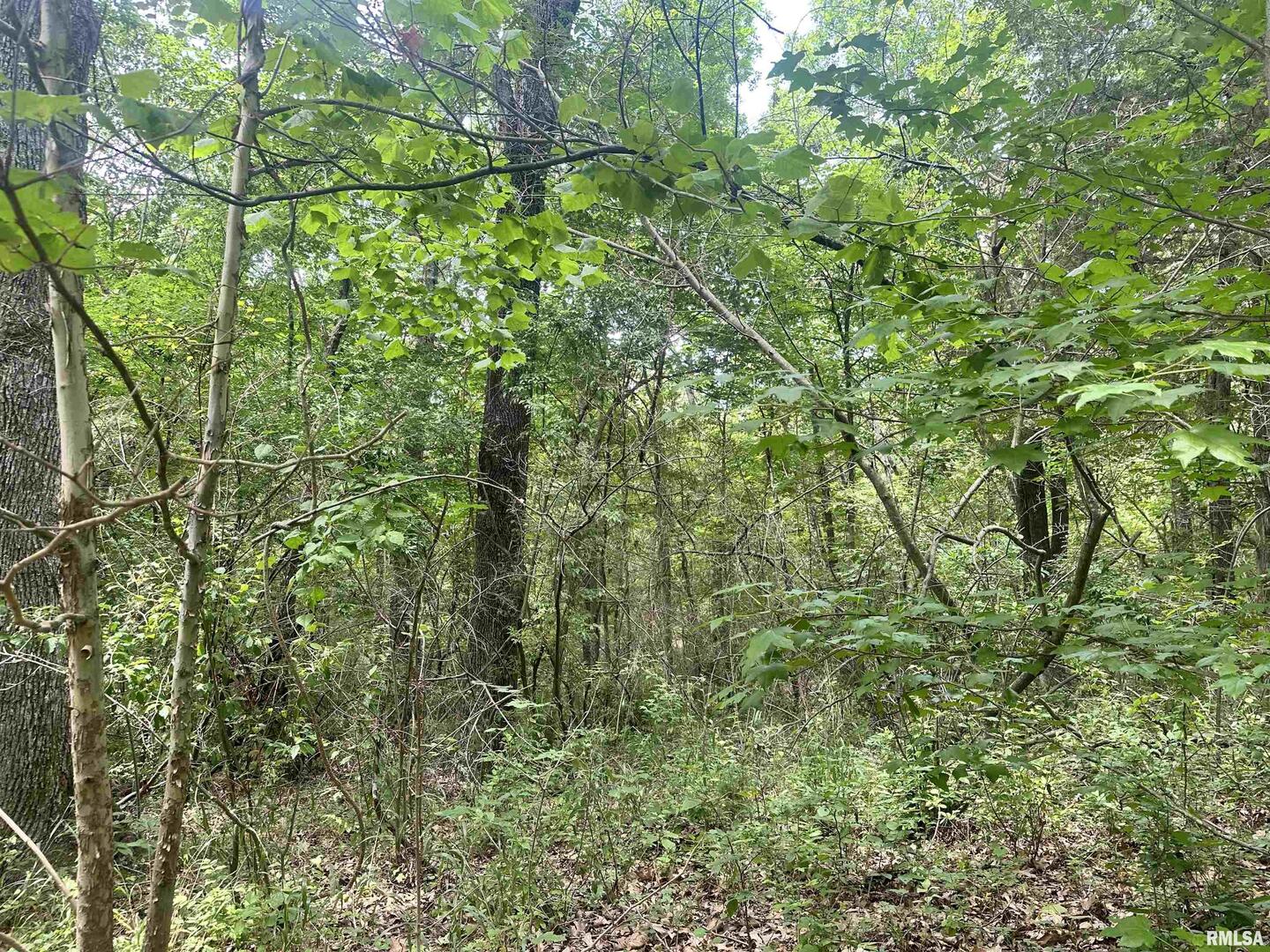 0 Knob Creek Road Carbondale, IL 62903 - Photo 2 of 16