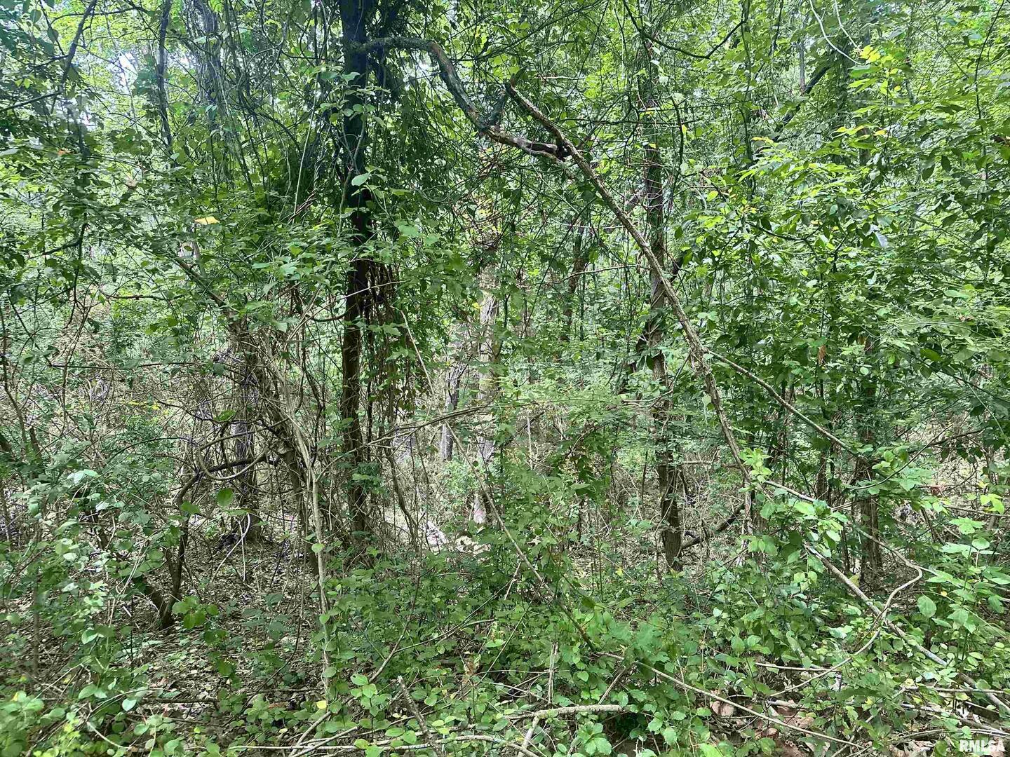 0 Knob Creek Road Carbondale, IL 62903 - Photo 3 of 16