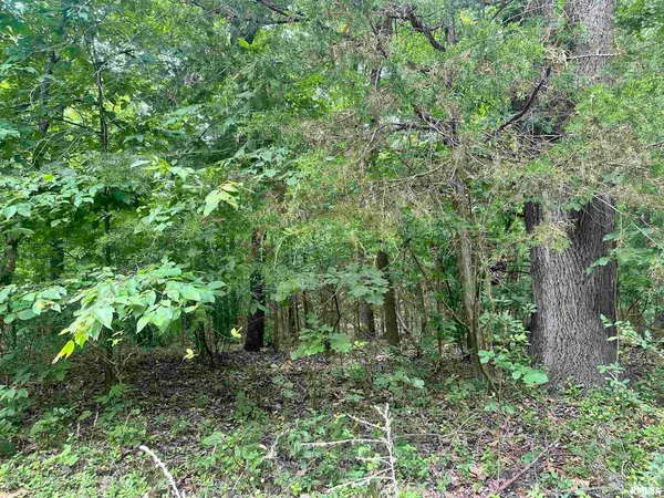 $28,000 | 0 Knob Creek Road, Carbondale, IL 62903