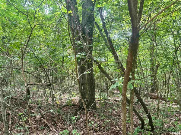 $28,000 | 0 Knob Creek Road, Carbondale, IL 62903
