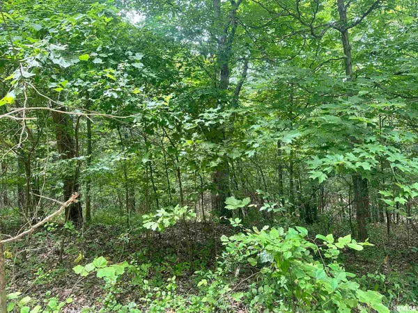 $28,000 | 0 Knob Creek Road, Carbondale, IL 62903