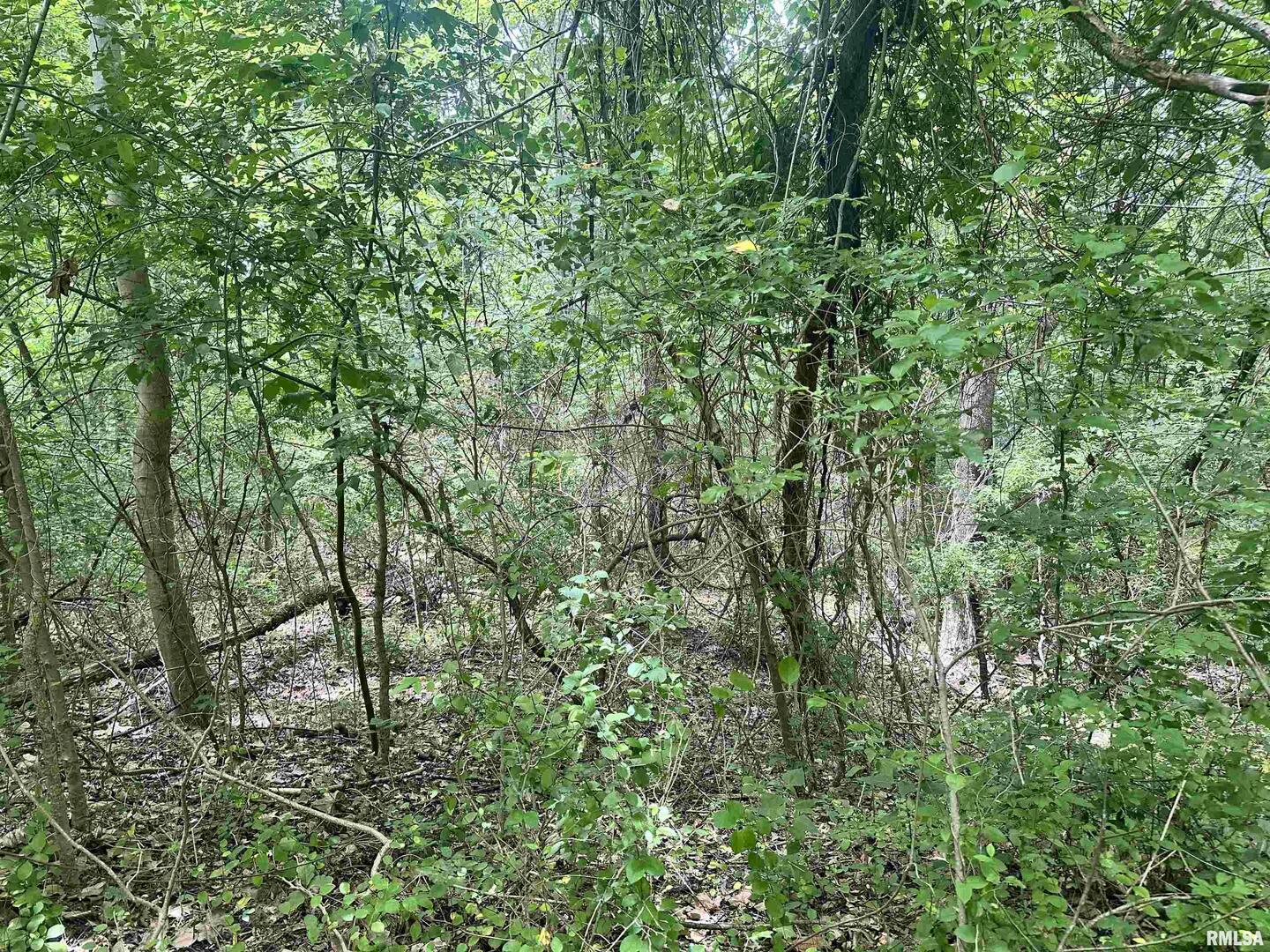 0 Knob Creek Road Carbondale, IL 62903 - Photo 10 of 16