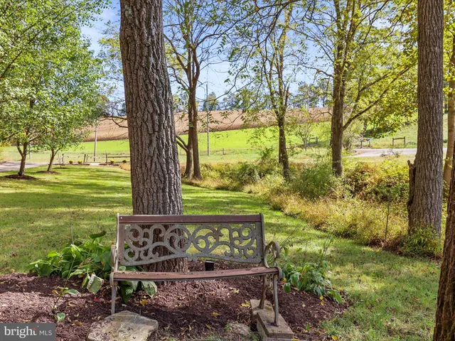 a view of a yard with plants and trees