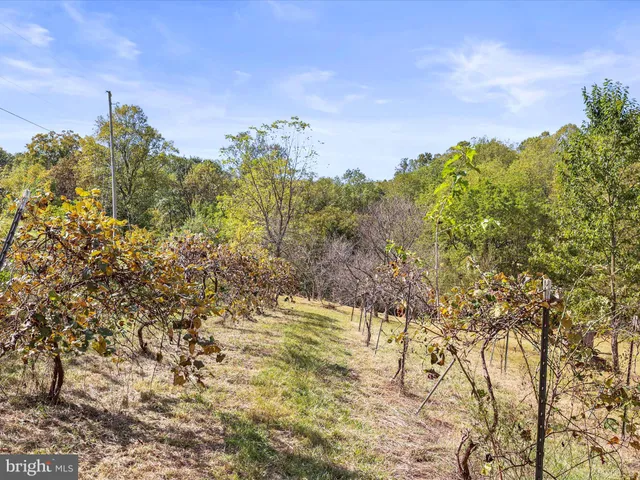 a backyard of a house with lots of green space and lake view
