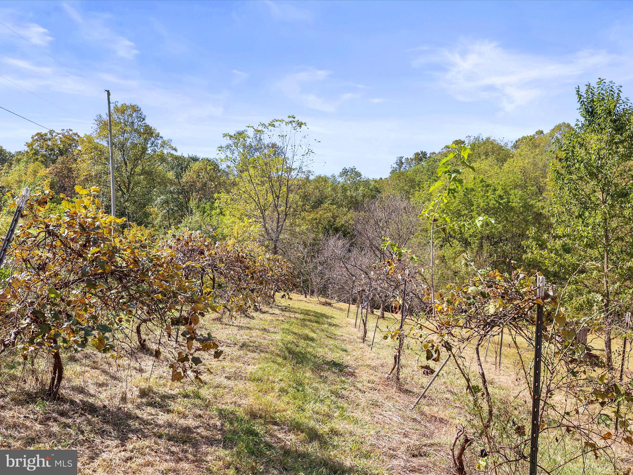 2122 West Springfield Road Seven Valleys, PA 17360 - Photo 16 of 71