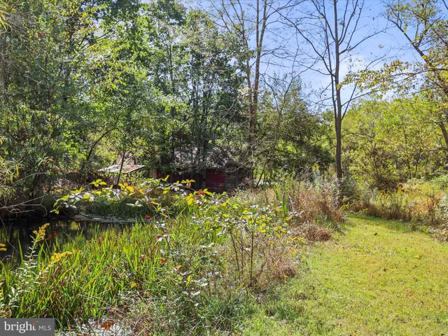 a view of a forest with an outdoor space