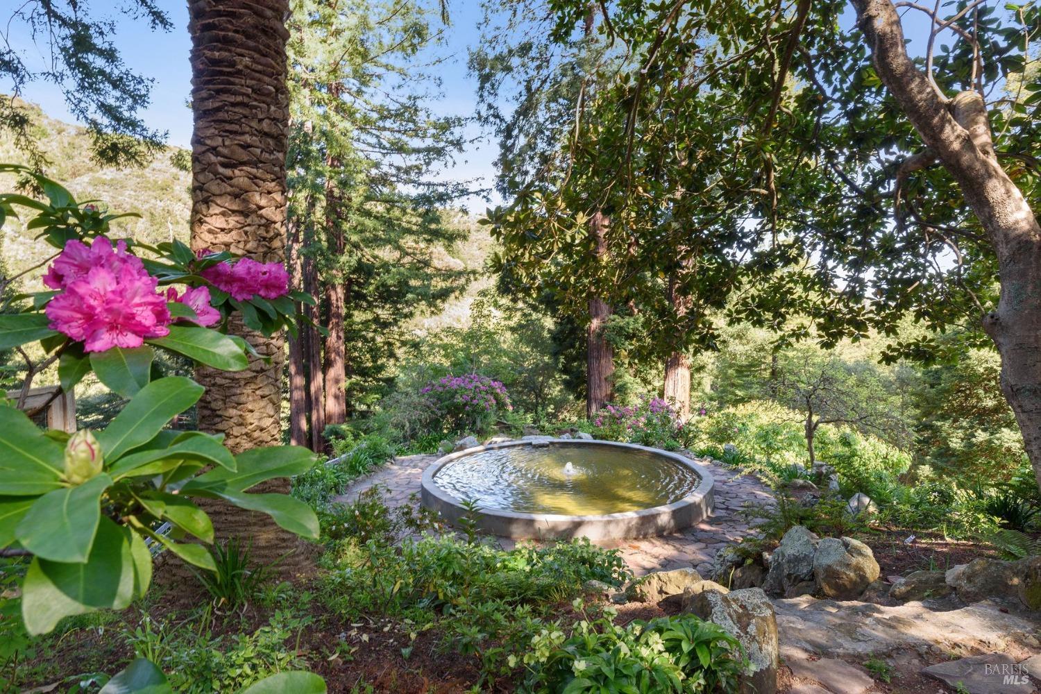 630 West Blithedale Avenue Mill Valley, CA 94941 - Photo 1 of 46