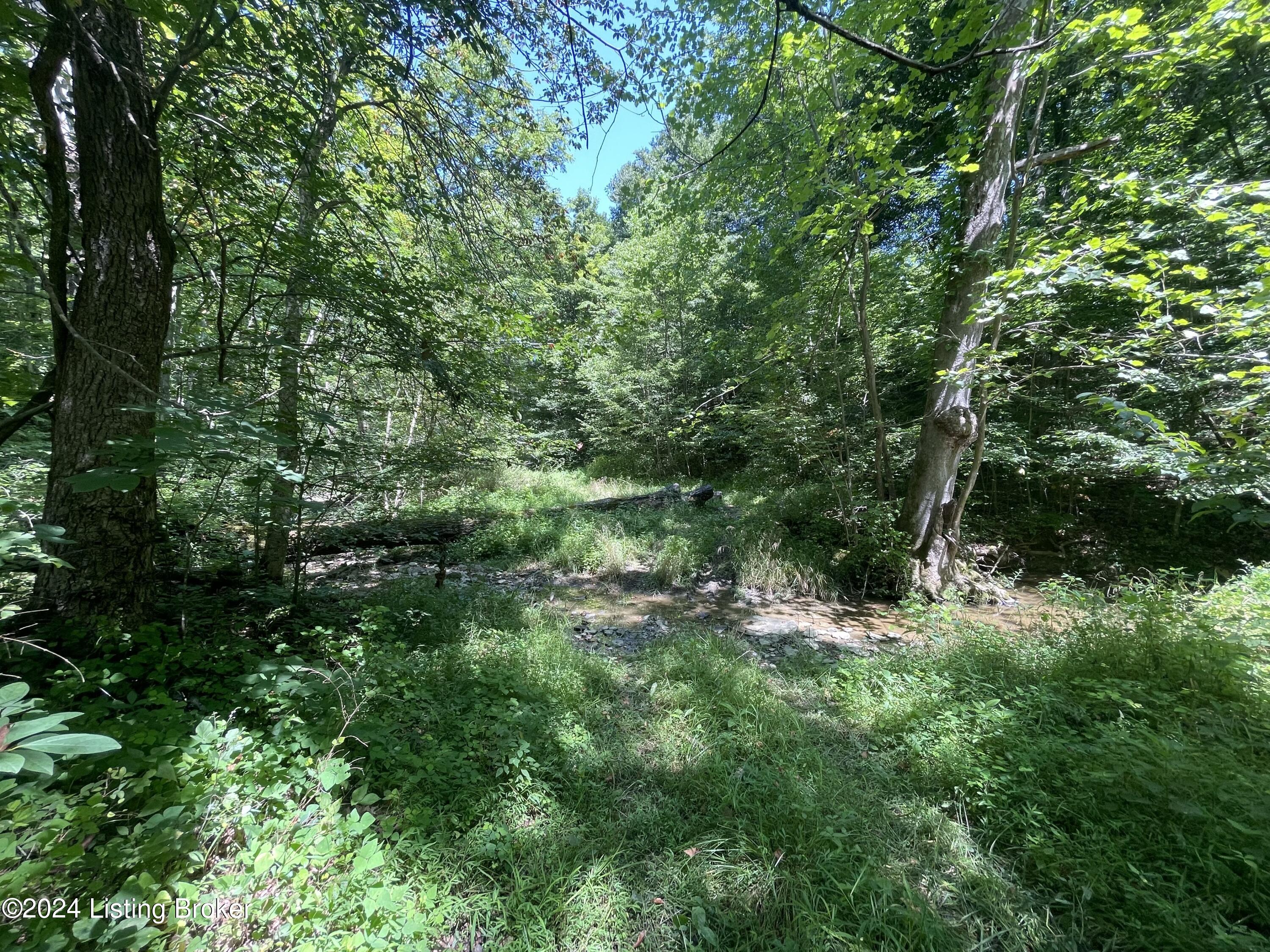 0 Cat Ridge Road Waddy, KY 40076 - Photo 6 of 24 IMG_1729