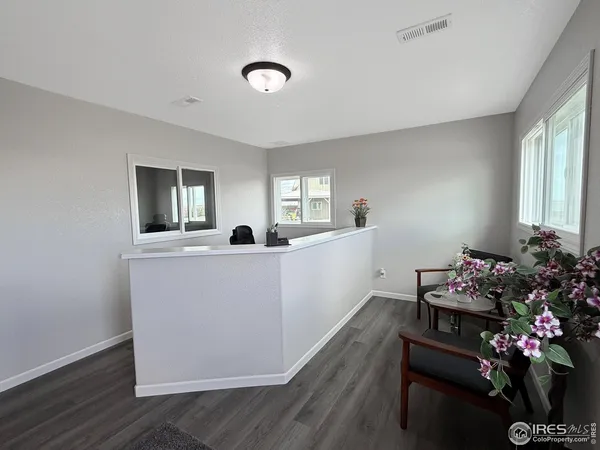 a living room with furniture window and a potted plant
