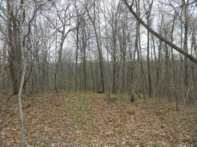 84 M/l Ac State Road, Unit A Auxvasse, MO 65231 - Photo 4 of 6