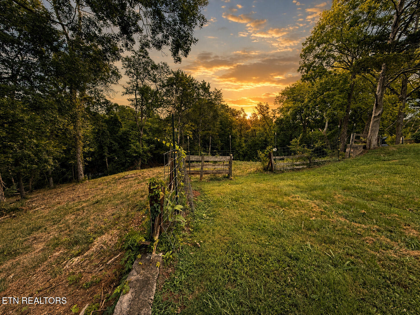 1869 East Old Topside Road Louisville, TN 37777 - Photo 10 of 39 O