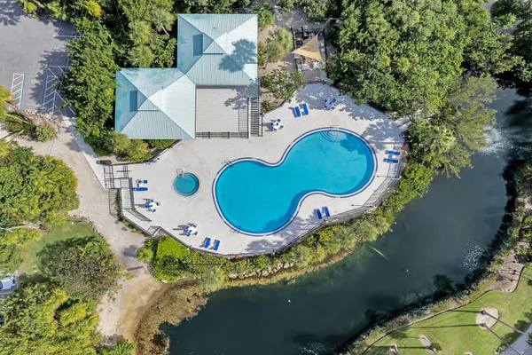 a view of a swimming pool with a lounge chair and palm trees