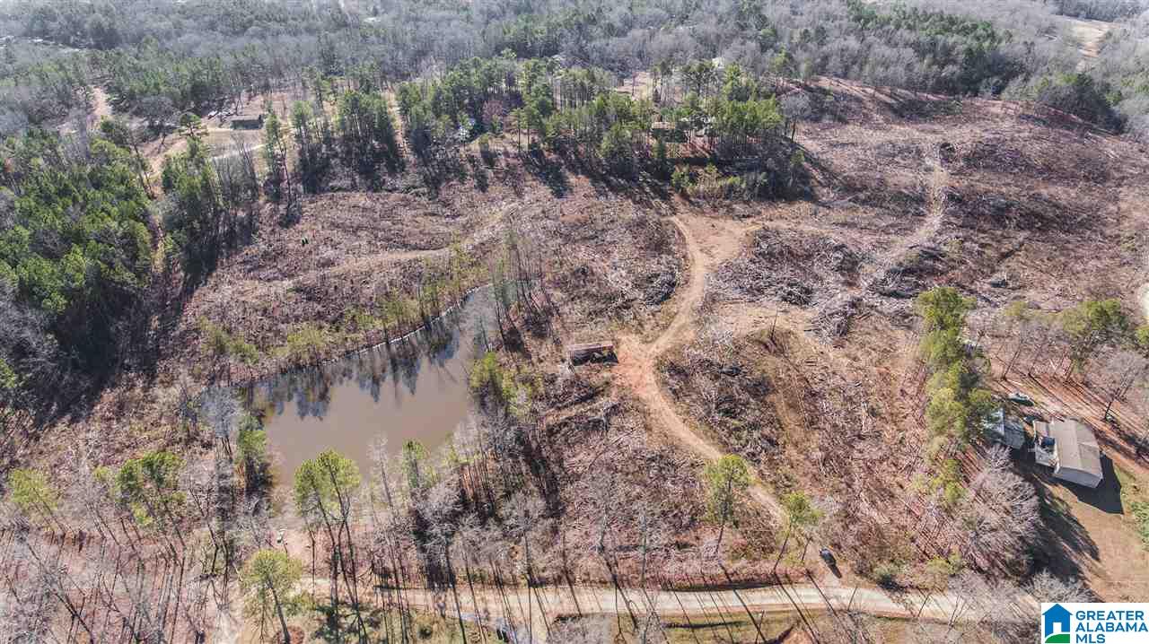 568 Yorkshire Road Columbiana, AL 35051 - Photo 1 of 7