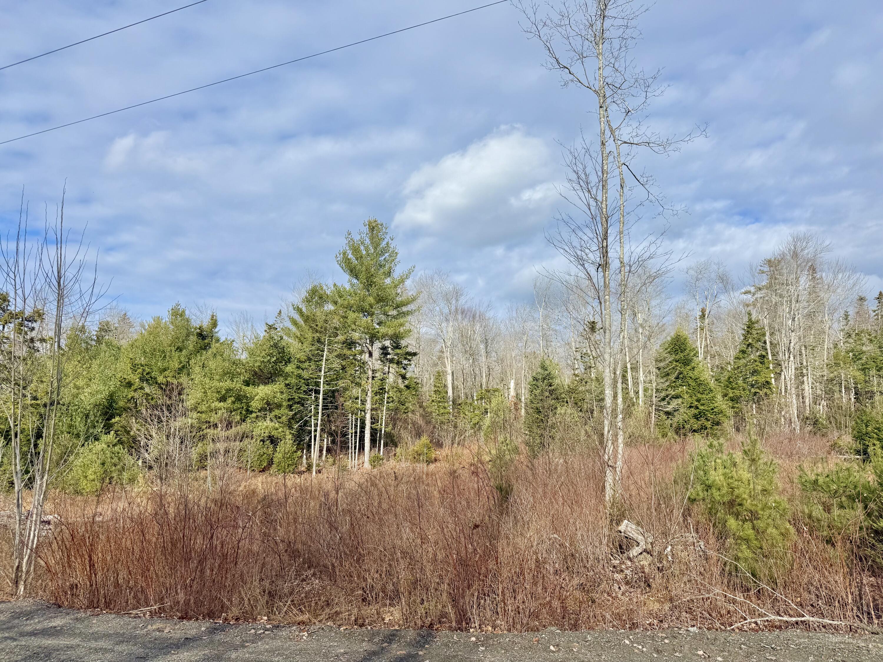 Lot 8 Sunset Hill Road Hancock, ME 04640 - Photo 11 of 13 Lot 8