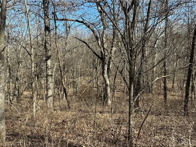 $21,999 | 3155-3156 3101 Rolfs Place, Edwards, MO 65326