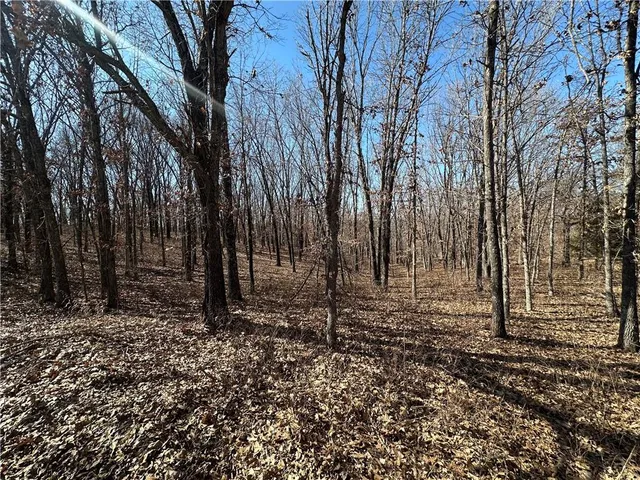 $21,999 | 3155-3156 3101 Rolfs Place, Edwards, MO 65326