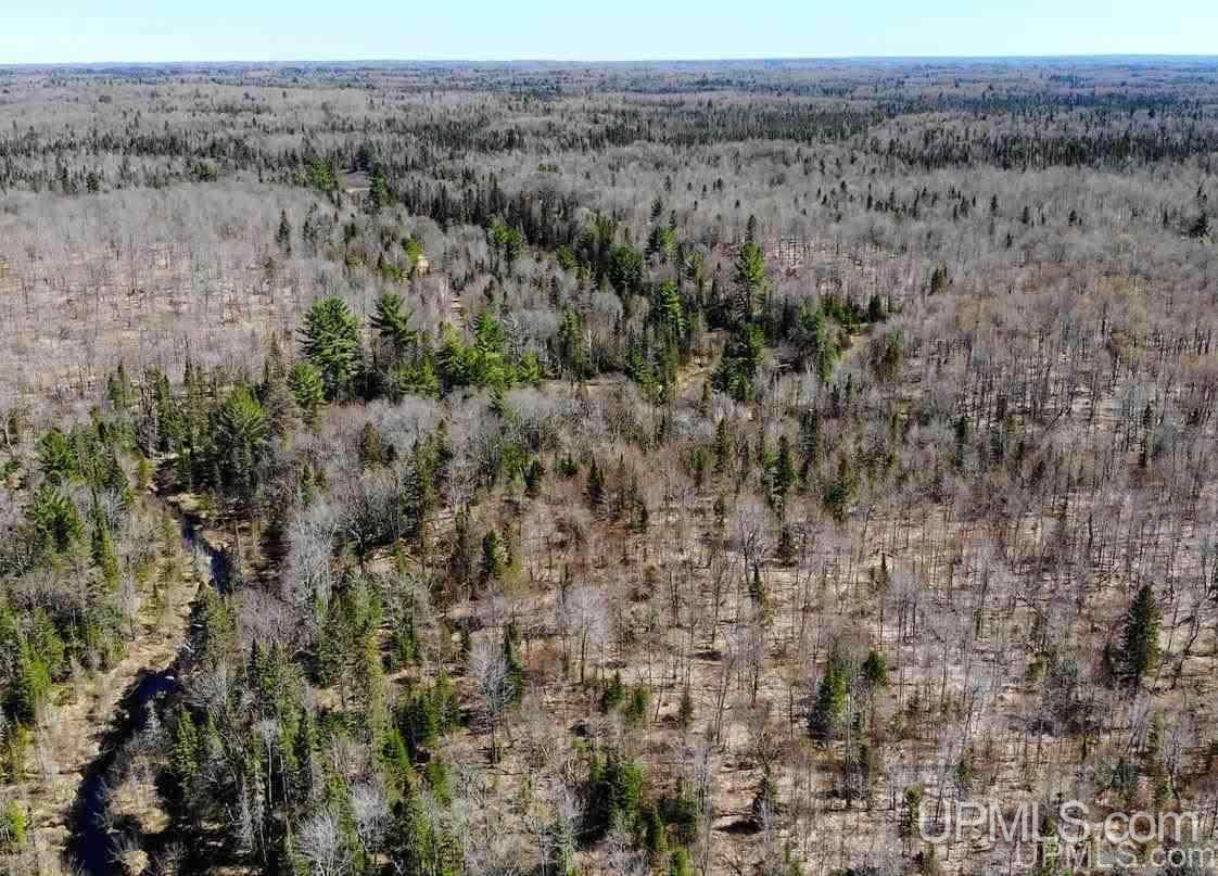 Tbd Celotex Road Michigamme, MI 49946 - Photo 8 of 25