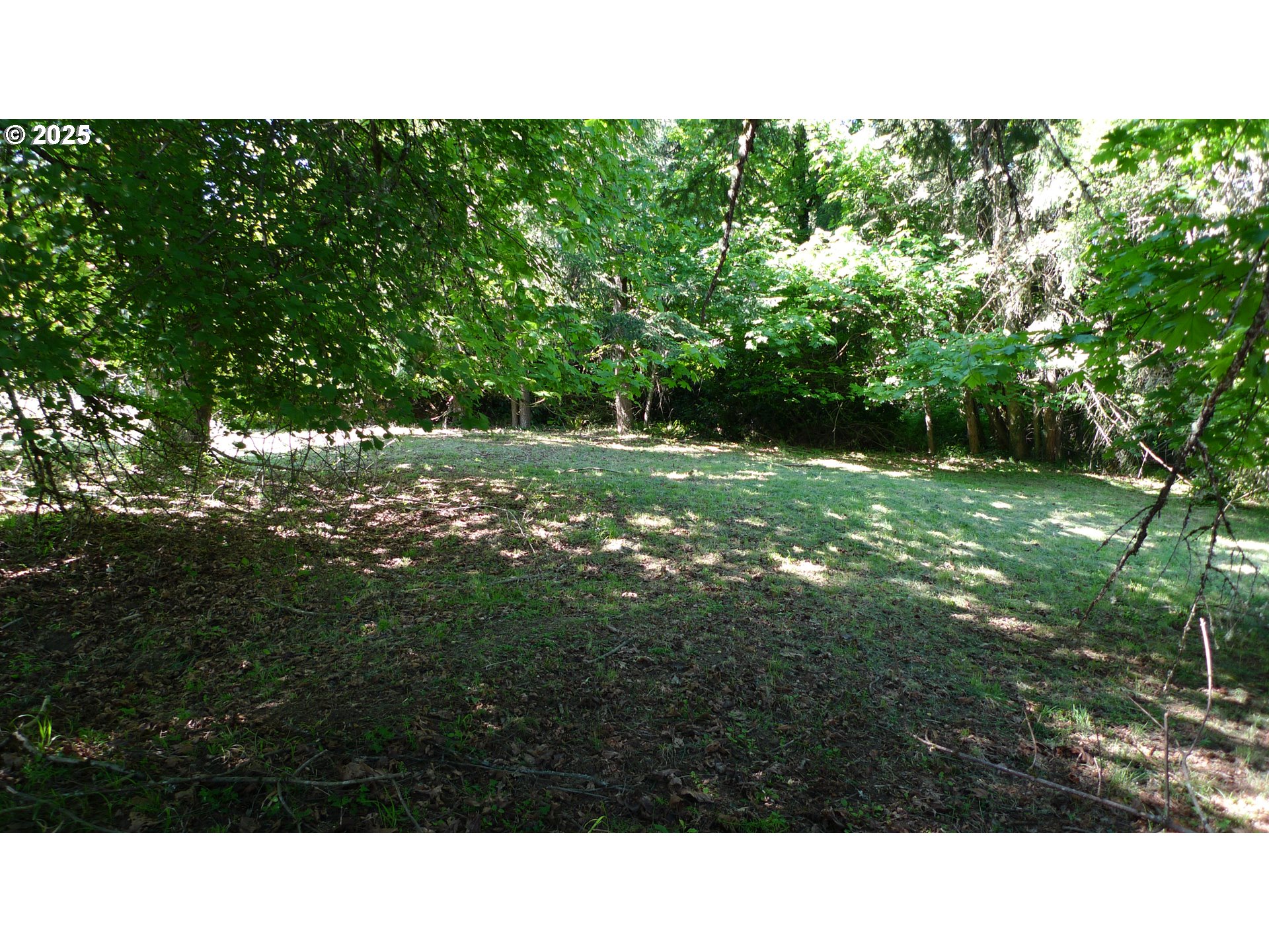 Mclean Boulevard Eugene, OR 97405 - Photo 2 of 11