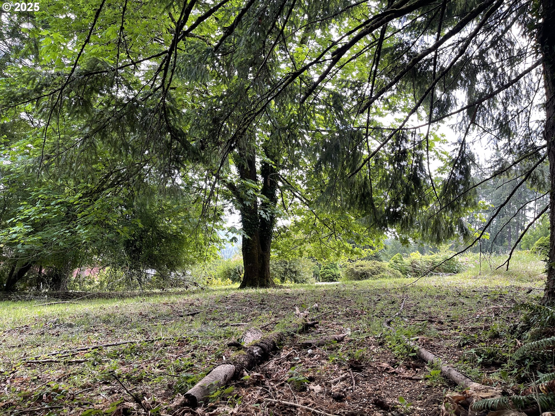 Mclean Boulevard Eugene, OR 97405 - Photo 3 of 11