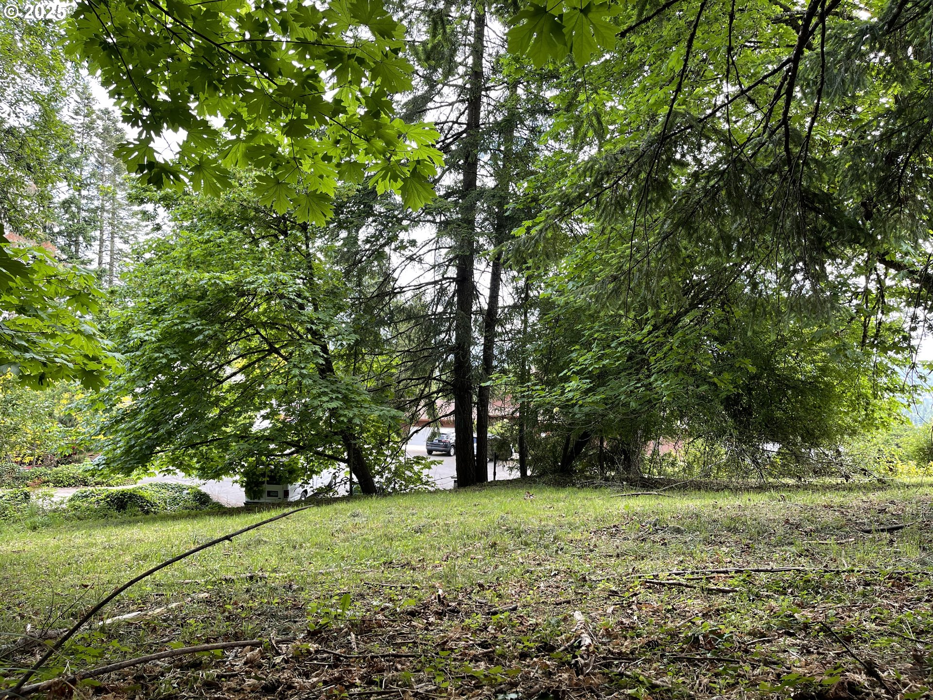 Mclean Boulevard Eugene, OR 97405 - Photo 4 of 11