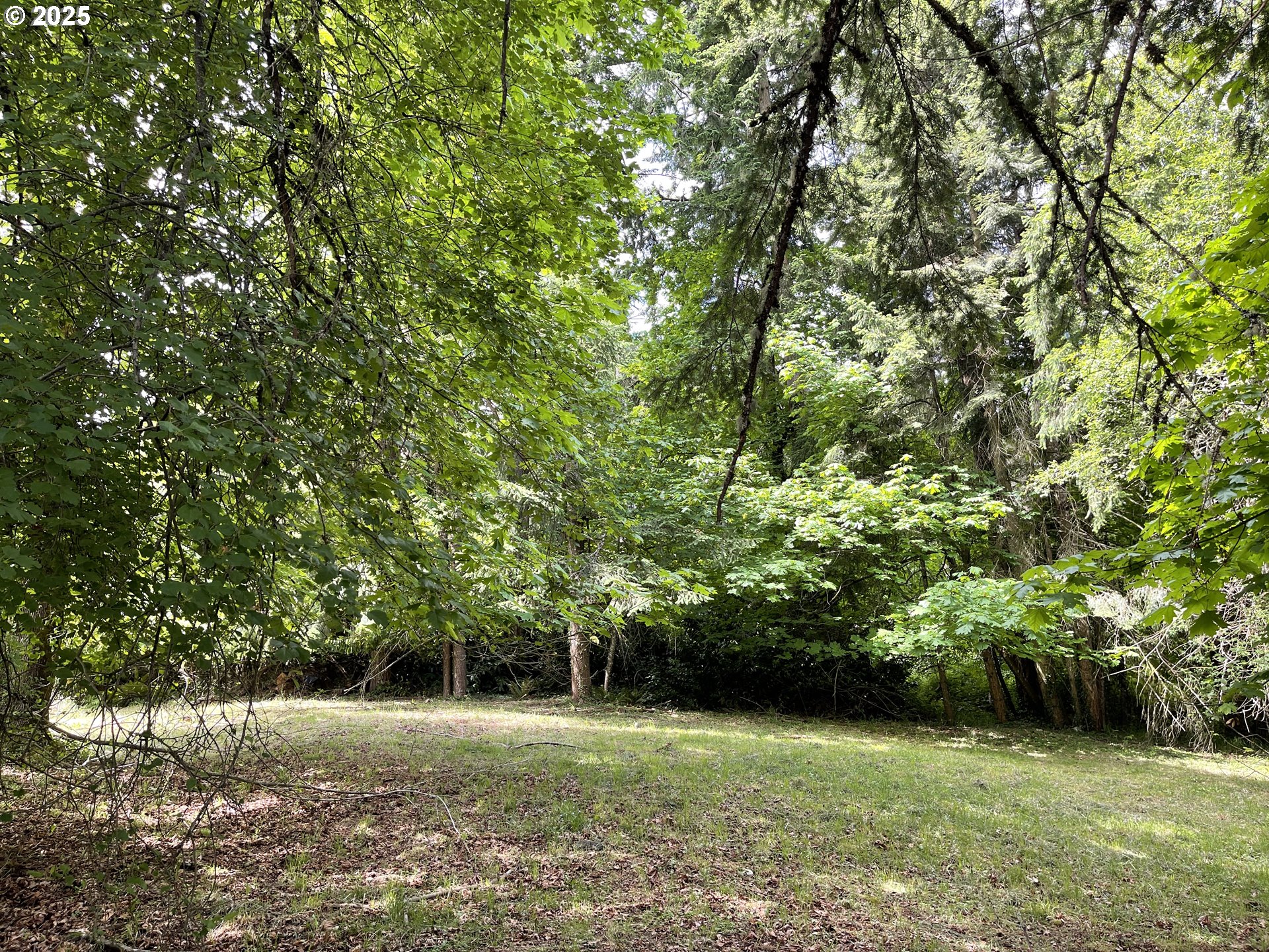 Mclean Boulevard Eugene, OR 97405 - Photo 6 of 11