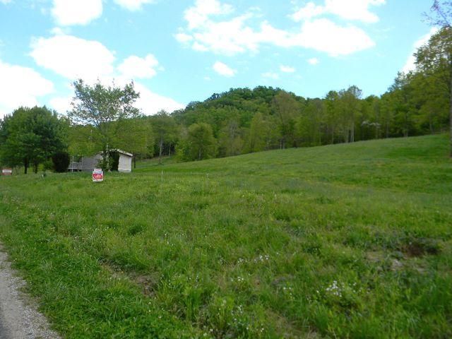 663 Dry Branch Road Dixon Springs, TN 37057 - Photo 2 of 16 Gallery Image 2