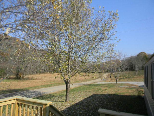 663 Dry Branch Road Dixon Springs, TN 37057 - Photo 14 of 16 Gallery Image 14