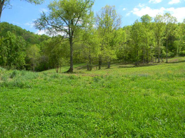 663 Dry Branch Road Dixon Springs, TN 37057 - Photo 15 of 16 Gallery Image 15