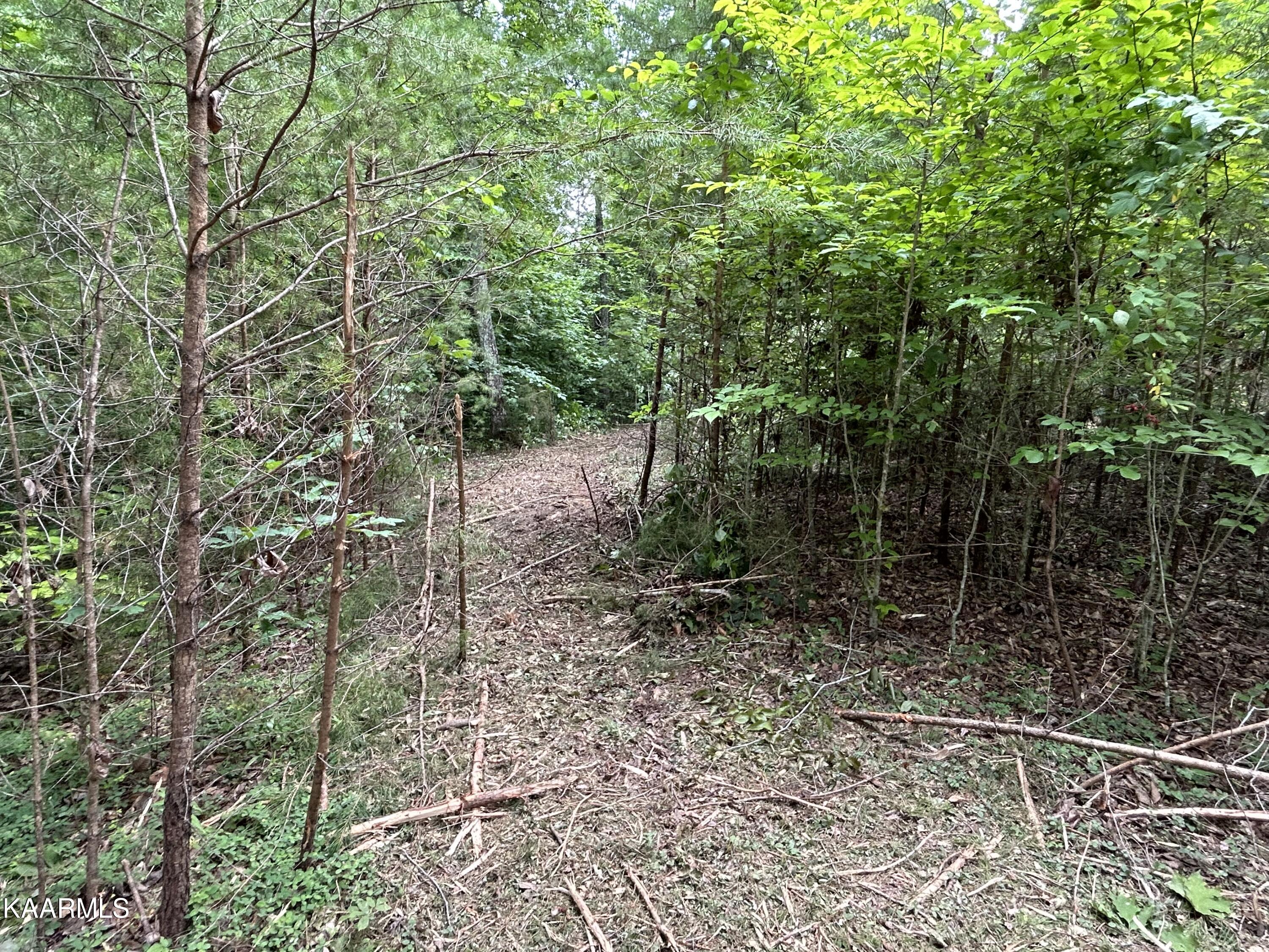 Hinds Creek Road Heiskell, TN 37754 - Photo 4 of 18 5C533C14-278C-4A1C-BEA8-F0EC49BD8E42