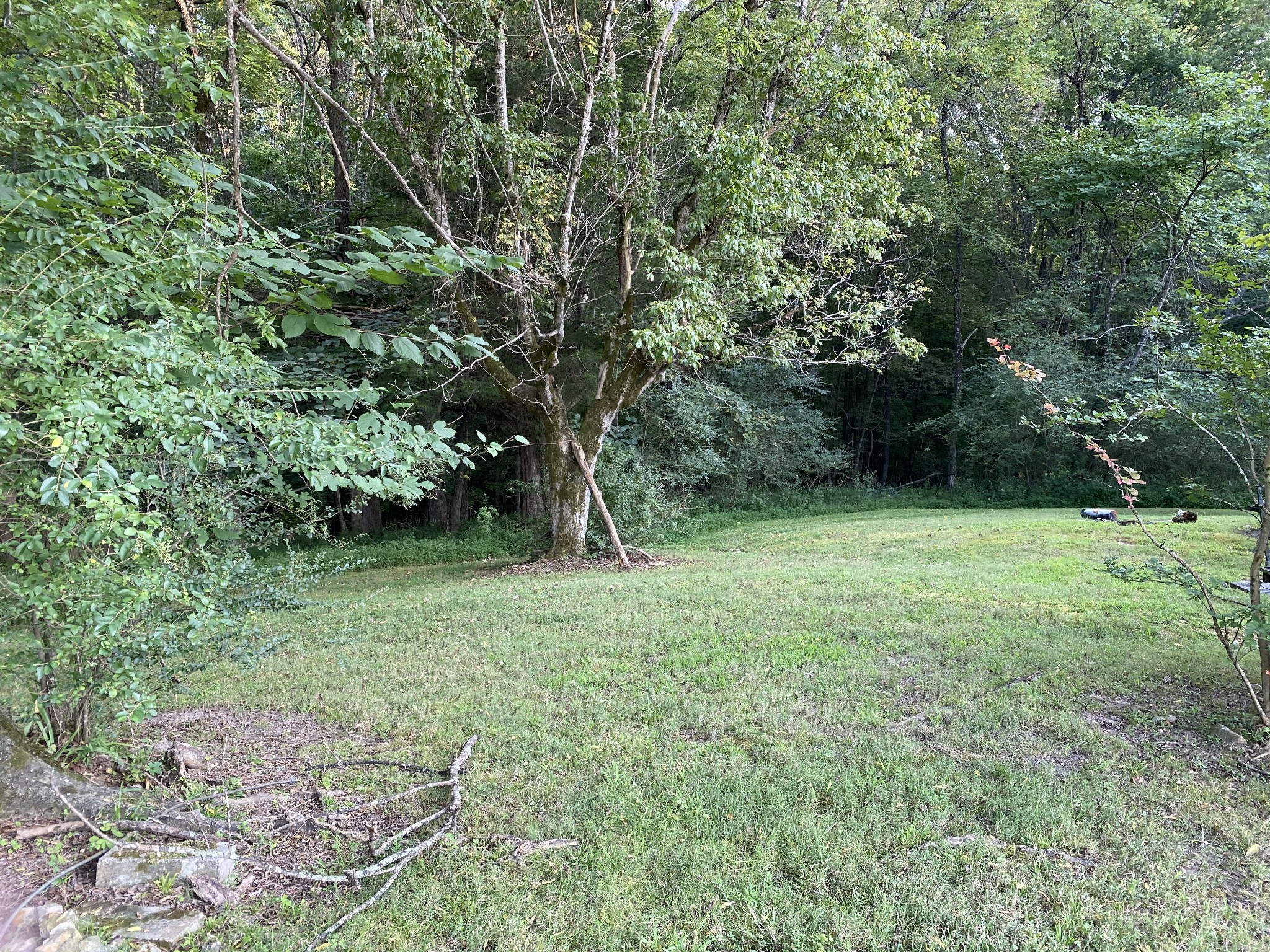 3030 North Hinton Road Clarksville, TN 37043 - Photo 1 of 3 Gallery Image 1