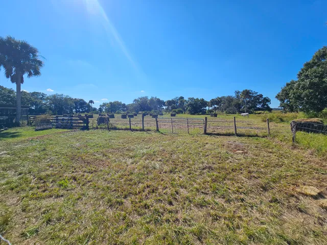 a view of garden with grass and trees