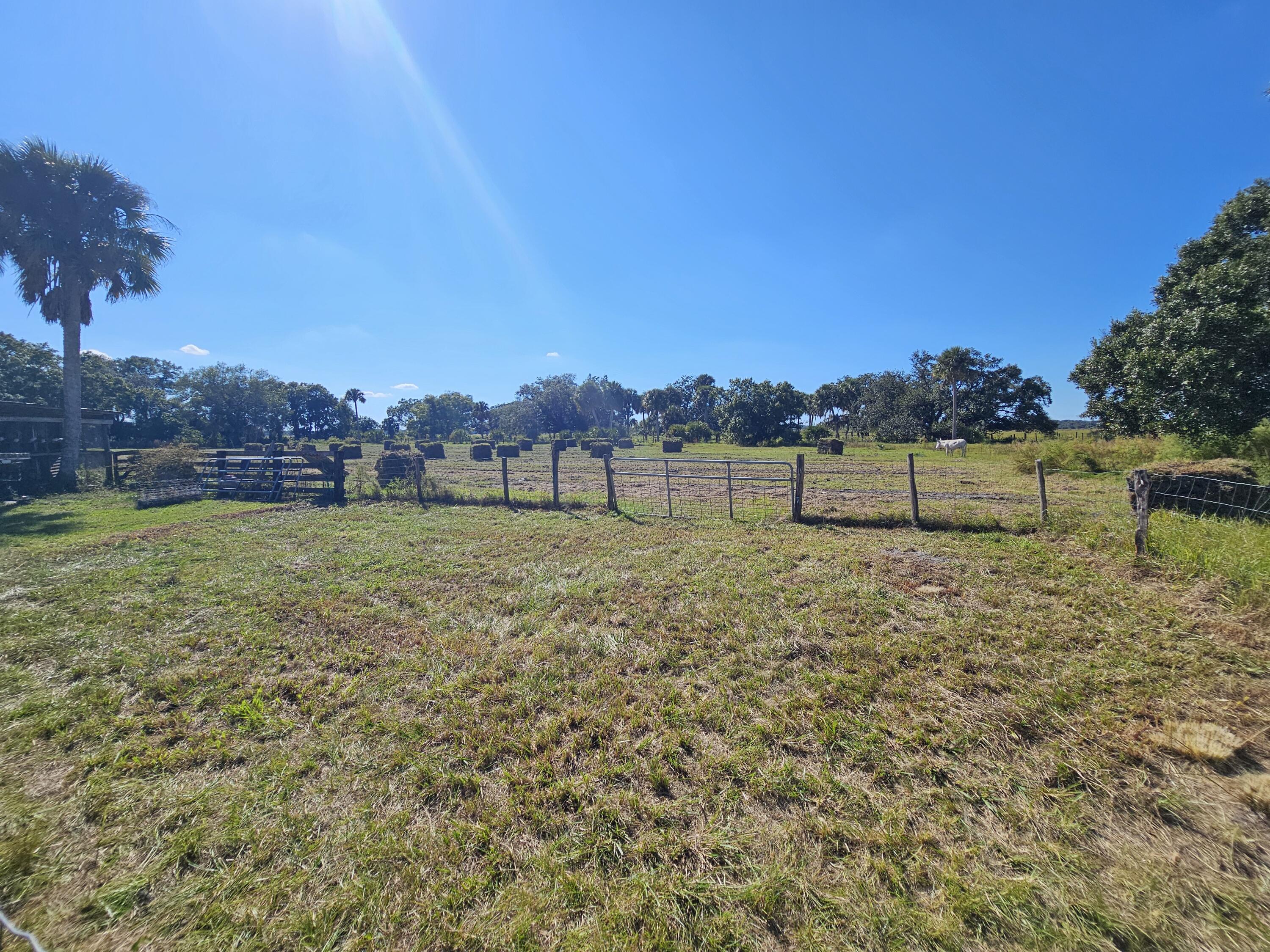 4900 Northwest 160th Street Okeechobee, FL 34972 - Photo 23 of 23 a view of garden with grass and trees