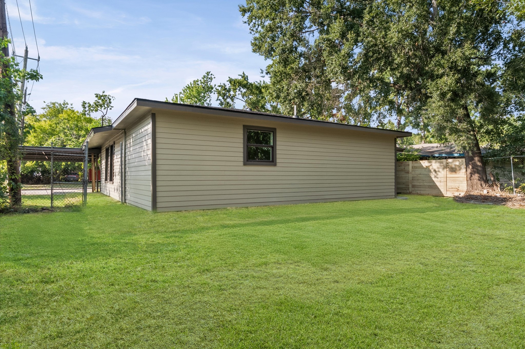 6527 Beekman Road Houston, TX 77021 - Photo 21 of 22 a backyard of a house with plants and large tree