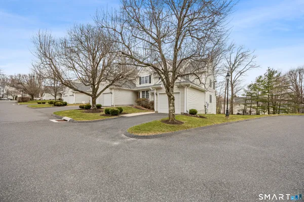 a view of road with large trees