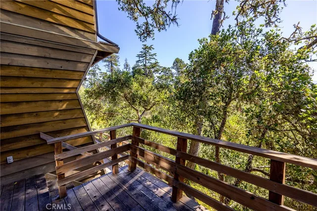 a view of a tree in a field